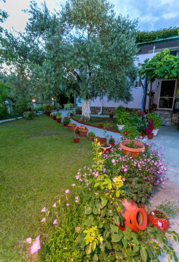 Studios Panagiotas House אסטריס מראה חיצוני תמונה