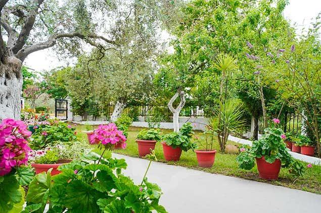 Studios Panagiotas House אסטריס מראה חיצוני תמונה